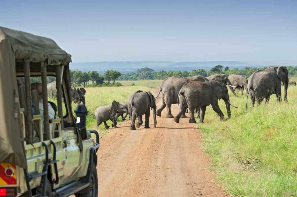 Authentic Tanzania Safari