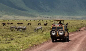 East Africa Safari tours