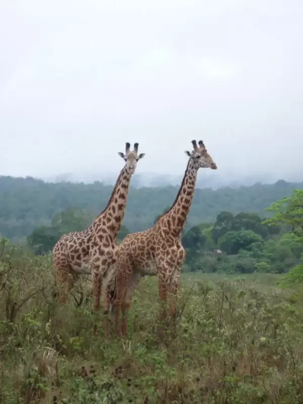 arusha-national-park3