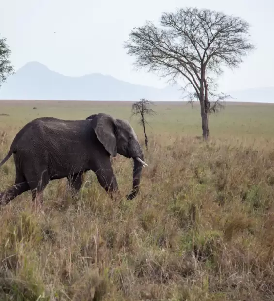 kidepo-valley-national-park4