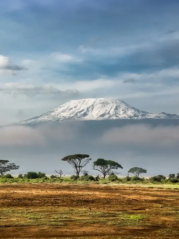 kilimanjaro-national-parkk