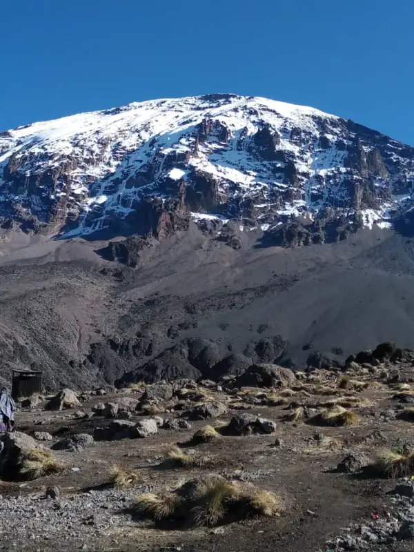 kilimanjaro