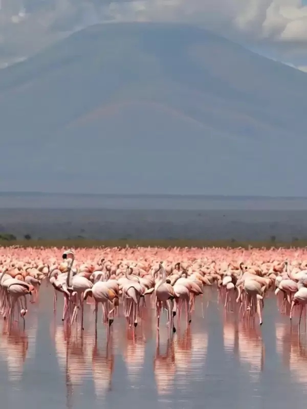 lake-nakuru-national-park4