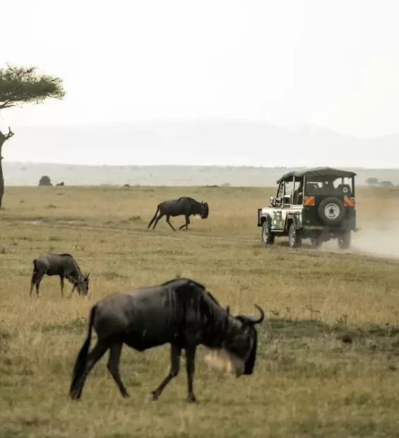 masai-mara-national-reserve1