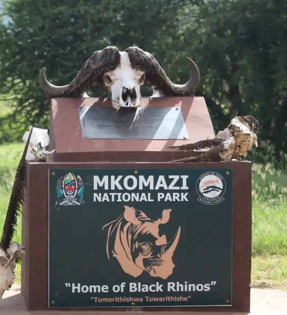 mkomazi-national-park4