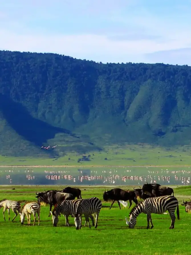 ngorongoro-crater2