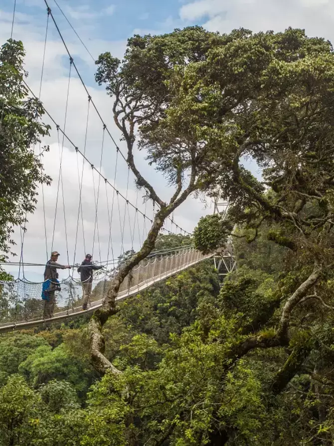 nyungwe-national-park4