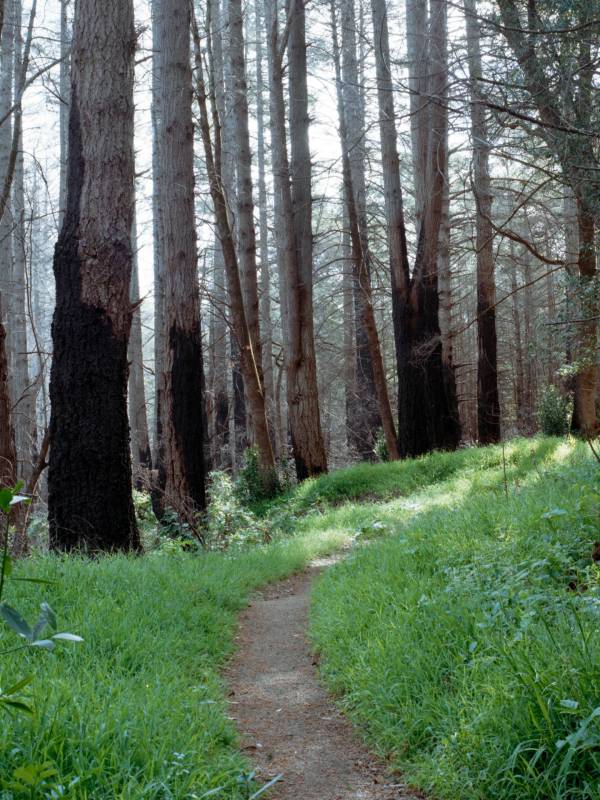 ronan-furuta-JbogJc4DiOs-unsplash