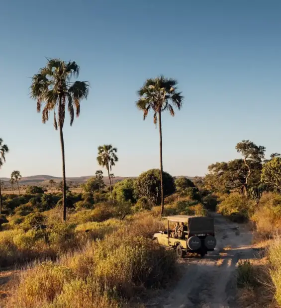 ruaha-national-park3