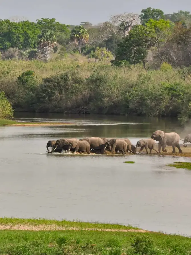 selous-game-reserve4