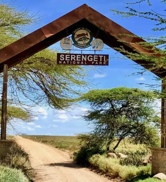 serengeti-national-park2