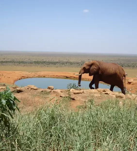 tsavo-east-national-park3