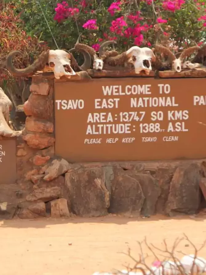 tsavo-east-national-park4