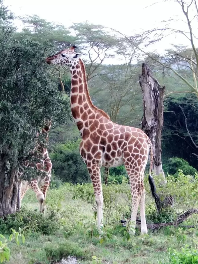 tsavo-west-national-park2